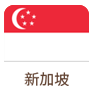 新加坡離岸公司做賬審計(jì)報(bào)稅