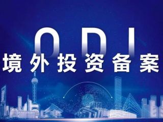 ODI境外投資備案，深入分析行業(yè)需求與潛力